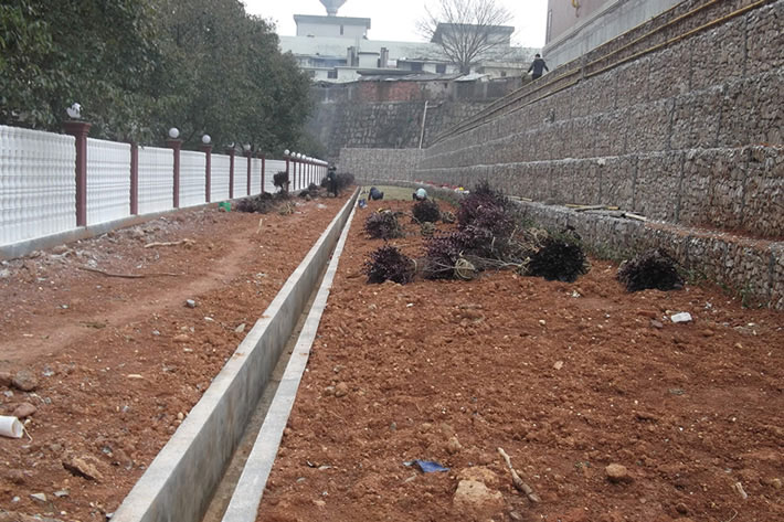 长沙道路绿化小区绿化4