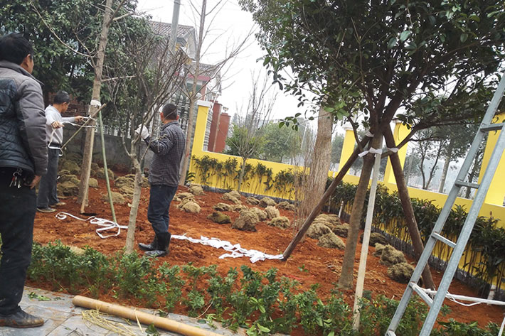 株洲庭院绿化8