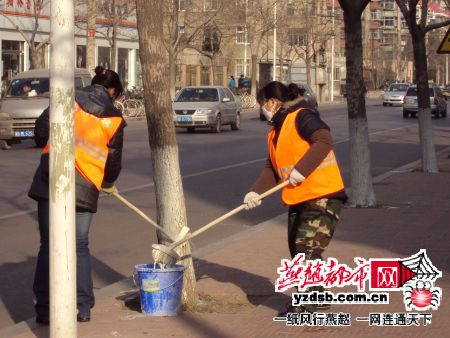 唐山：大树穿上“杀虫衣”防止明年开春病虫害的发生